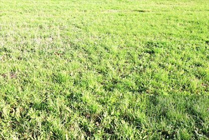 działka na sprzedaż 4539m2 działka Opole, Zaodrze, Krapkowicka