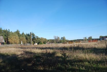 Działka siedliskowa na sprzedaż Krzyż, Xxx, XXX, Xxx 12 001m2 Foto 6