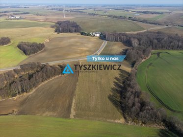 działka na sprzedaż 4793m2 działka Jeleńcz