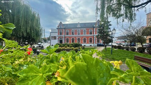 Zapraszam do wynajmu biura 80,82 m² w centrum Świecia lokal użytkowy Świecie, Mały Rynek
