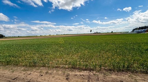 Działka 5600 m² z warunkami zabudowy - polecam działka Świątniki Małe