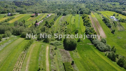 działka na sprzedaż 7000m2 działka Dębno, Łysa Góra