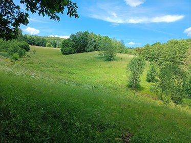 Działka 3 137 m² z MPZP (Olszyniec, Walim) działka Olszyniec