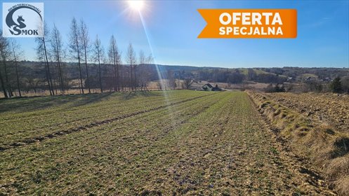 działka na sprzedaż 14000m2 działka Przesławice