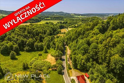 działka na sprzedaż 2400m2 działka Dańczów