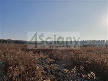 Działka 9 900 m² w otulinie Mazowieckiego Parku K. działka Łoś
