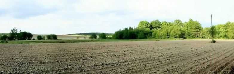 działka na sprzedaż 7400m2 działka Strzelin