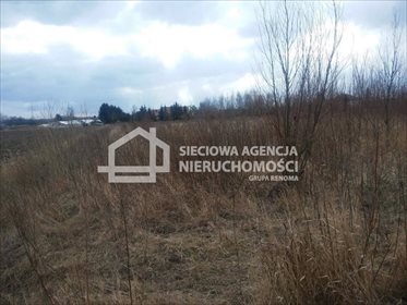 Zapraszam do zakupu działki rolnej 3001 m² w malowniczej okolicy Gdańska działka Gdańsk, Olszynka