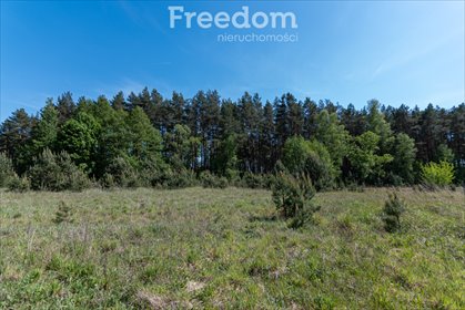 działka na sprzedaż 1196m2 działka Kotuń