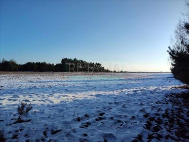 działka na sprzedaż 54586m2 działka Chynów