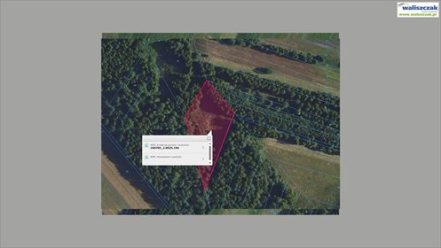 działka na sprzedaż 3200m2 działka Wójcin