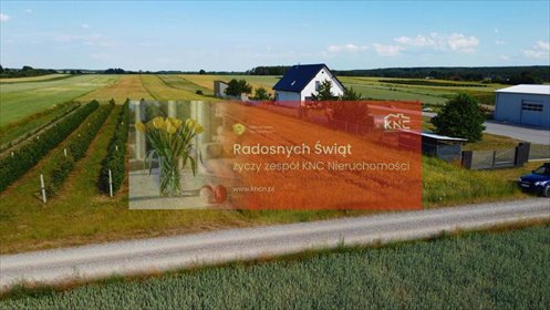 działka na sprzedaż 11700m2 działka Borów-Kolonia