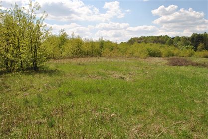 Działka rekreacyjna na sprzedaż Mysłowice, Brzęczkowice 9 600m2 Foto 3