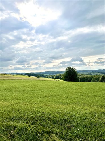 działka na sprzedaż 5618m2 działka Wiśniowa