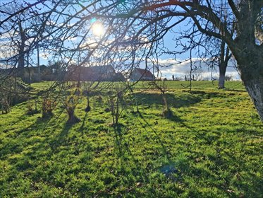 działka na sprzedaż 1265m2 działka Kurów Wielki
