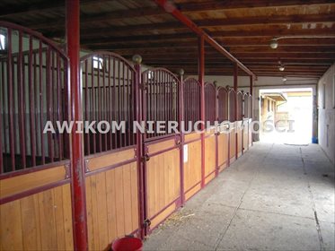 lokal użytkowy na sprzedaż 4873m2 lokal użytkowy Skierniewice, Skierniewice