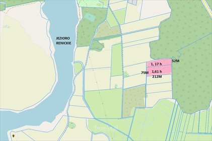 działka na sprzedaż 27834m2 działka Renice