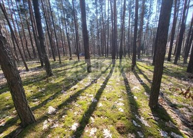 Działka 1731 m² z wodą i planem zabudowy - polecam! działka Siestrzeń