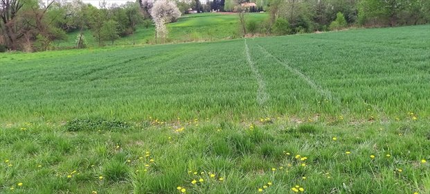działka na sprzedaż 1973m2 działka Chmielnik