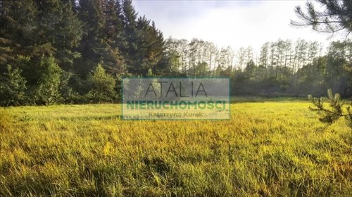 Działka 10 100 m² z planem zagospodarowania. działka Skuły