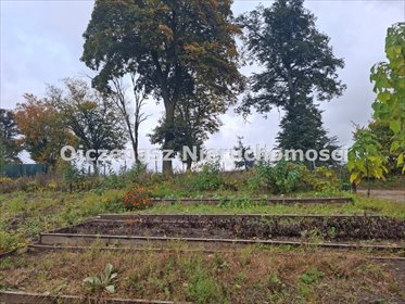 Na sprzedaż działka 3000 m² z fundamentem i ogrodem w Zielonczyniu działka Zielonczyn