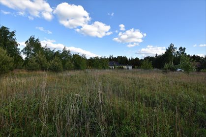 Działka rekreacyjna na sprzedaż Ostrowsko 982m2 Foto 4