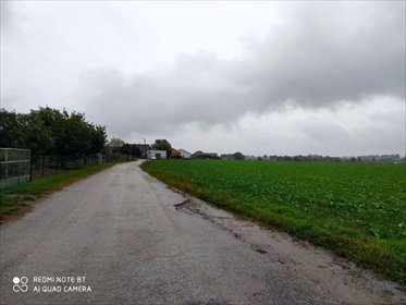 Na sprzedaż działka z budynkami przy drodze wojewódzkiej w Śródce działka Śródka, Śródka gm. Kleszczewo