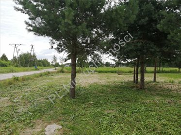 Działka inwestycyjna na sprzedaż Ciopan 16 200m2 Foto 5
