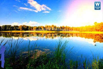 działka na sprzedaż 3700m2 działka Biskupiec