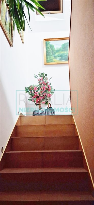 dom na wynajem 50m2 dom Żyrardów