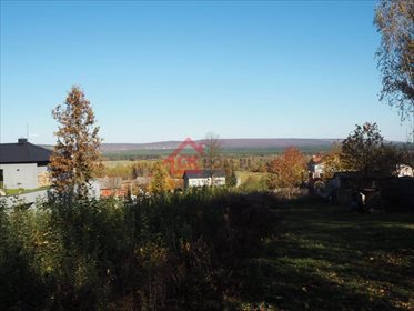 Działka budowlana na sprzedaż Mąchocice-Scholasteria 2 002m2 Foto 4