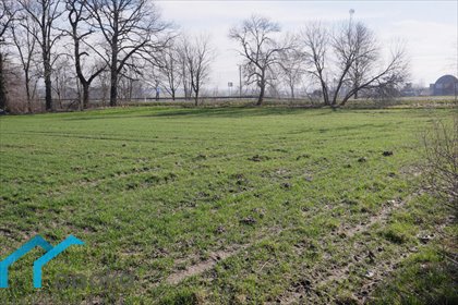 Działka usługowa 3 162 m² z pełnym uzbrojeniem i świetną ekspozycją działka Wilcza
