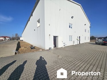Magazyn 1600 m² z chłodniami i biurem w Kamionnie magazyn Kamionna