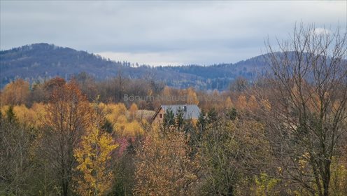 Działka budowlana na sprzedaż Dębowina 3 280m2 Foto 6