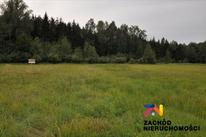 działka na sprzedaż 3029m2 działka Krzywczyce