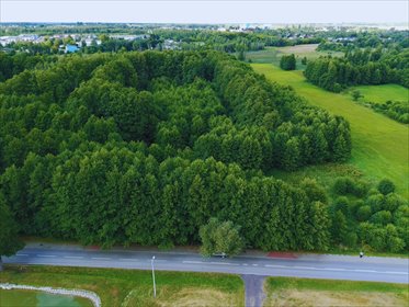 działka na sprzedaż 16199m2 działka Smolice