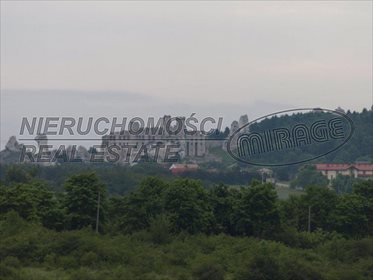 działka na sprzedaż 278000m2 działka Ogrodzieniec, Jura Ogrodzieniec