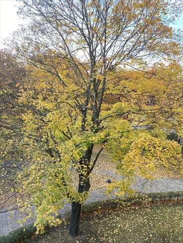 Na sprzedaż przestronne 3-pokojowe mieszkanie 47 m² w Targówku mieszkanie Warszawa, Targówek, Bródno, Toruńska