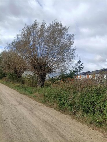 działka na sprzedaż 881m2 działka Napachanie, Napachanie, Starzyńska/Aktorska