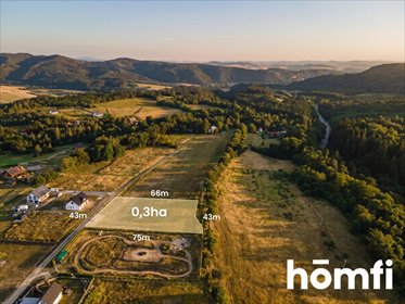 Do sprzedania widokowa działka 3000 m² w Kotlinie Kłodzkiej działka Dębowina, Widokowa