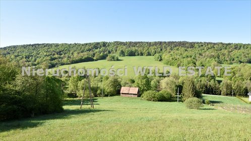 działka na sprzedaż 6587m2 działka Ustrzyki Dolne, Stańkowa