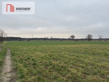 Na sprzedaż działka inwestycyjna 48 923 m² przy S5 z dużym potencjałem działka Kowalewo