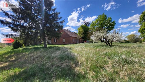Siedlisko z potencjałem, dom do remontu, 2177 m² dom Dębionek