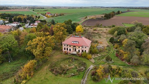 lokal użytkowy na sprzedaż 20941m2 lokal użytkowy Ciechów