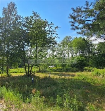 działka na sprzedaż 3000m2 działka Radonie