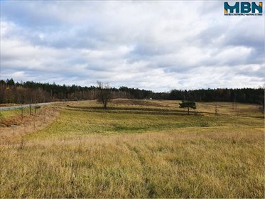 działka na sprzedaż 65579m2 działka Tuchlin, Tuchlin