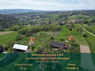 Na sprzedaż działka 58 ar z widokiem na góry w Zalasowej działka Zalasowa