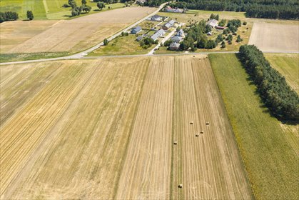 Działka rolna 1.6 ha działka Plewnia