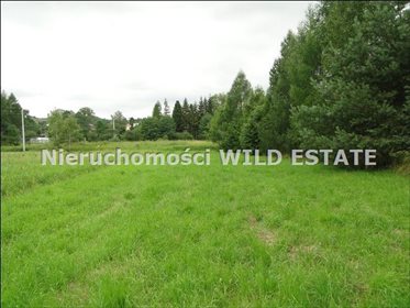 działka na sprzedaż 3127m2 działka Zagórz