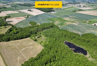 Działka 3297 m² w Koziróg Rzeczny, blisko stawów - polecam! działka Koziróg Rzeczny